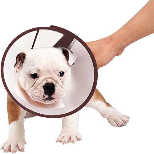 Pet Dog Grooming Bath Wound Healing Anti Bite Protective Plastic Collar Neck Ring (Medium)
