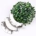 Chunky Women's Tribal Tibet Silver Plate Bib Choker Chain Necklace