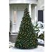 Pre-Lit Pull-Up Christmas Tree, Clear