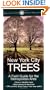 New York City Trees