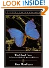 Cloud Forest (Classic, Nature, Penguin)