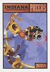 Indiana Pacers (The NBA: A History of Hoops)