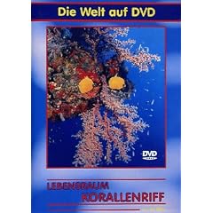 Lebensraum Korallenriff