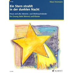 Ein Stern strahlt in der dunklen Nacht: Neue und alte Advents- und Weihnachtslieder. Gesang und Klavier (Orgel).