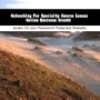 Networking For Specialty Camera Lenses Online Business Growth