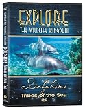 Explore the Wildlife Kingdom: Dolphins - Tribes of the Sea