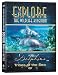 Explore the Wildlife Kingdom: Dolphins - Tribes of the Sea