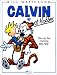 Calvin et Hobbes, tome 3 : On est fait comme des rats