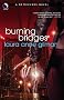 Burning Bridges (Retrievers)