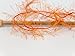 Orange Eyelash Yarn 50 Gram Ice 22757