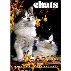 Chats, num�ro 93