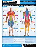 Muscle Groups & Exercises Wall Chart - A3 Laminated with on-line video training support (smart phone only)