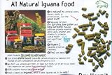 Zoo Med Natural Iguana Food Juvenile Formula 40 oz
