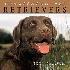 Chesapeake Bay Retrievers 2000 Calendar