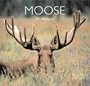 Moose (Worldlife Library)