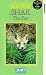 VHS : In The Wild - Shak The Fox [1985]