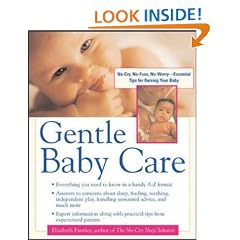 Gentle Baby Care: No-cry, No-fuss, No-worry--Essential Tips for Raising Your Baby (Pantley)
