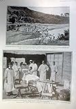 Two Scenes Sasebo, Russian Guns Used By Japanese 1905