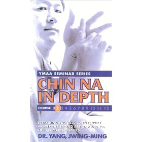 Chin Na In Depth 2