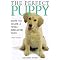 Puppies: All You Need To Know