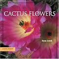 Cactus Flowers (Look West Series)
