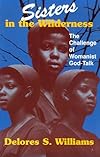 Sisters in the Wilderness: The Challenge of Womanist God-Talk