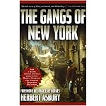 The Gangs of New York: An Informal History of the Underworld book cover