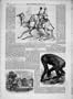 1859 Barras Camel Corps Church Denbighshire Gorilla