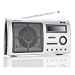 Intempo Digital TRS-01S Silver DAB Transistor Radio