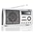 Intempo Digital TRS-01S Silver DAB Transistor Radio