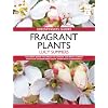 Fragrant Plants (Greenfingers Guides)