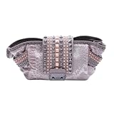 CHRISTIAN AUDIGIER Ed Hardy Marta Clutch Womens Handbag