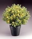 20" Artificial Potted Pre-Lit Globe Juniper Tree - 35 Clear Lights