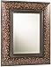 Cooper Classics 4521 Luanda Wall Mirror- Aged Merlot