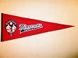 Minnesota Twins - MLB Baseball Cooperstown (Pennants)