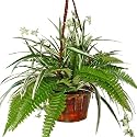 Forever Silk 17-SP4705 Spring Green Splendor Basket