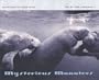 Mysterious Manatees: Photographs by Karen Glaser