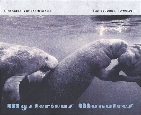 Mysterious Manatees: Photographs by Karen Glaser