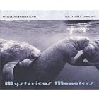 Mysterious Manatees: Photographs by Karen Glaser by JOHN E. REYNOLDS III and KAREN GLASER