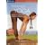 Ashtanga Yoga Beginners Practice [DVD] [2004]