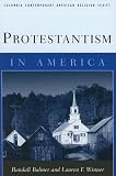 Protestantism in America (Columbia Contemporary American Religion Series)