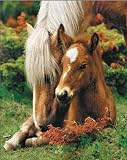 Mare & Foal (Brown Horses) Art Poster Print - 16 X 20