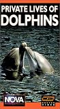 Nova: Private Lives of Dolphins