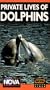 Nova: Private Lives of Dolphins [VHS]