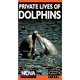 Nova: Private Lives of Dolphins [VHS]