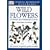 Wildflowers of Britain and Northwest Europe (DK Handbooks)