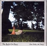Noon Under the Trees