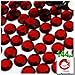 144pc Rhinestones Round 12mm - flatback Devil Red Wine