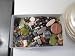 1 Pound Mixed Gemstone Beads Sizes Verry From 3mm to 50mm mix with At Least 2 Focal Stones Per Box