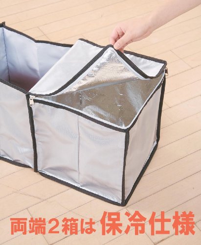 2WAY 折り畳める保冷付収納BOX&BAG